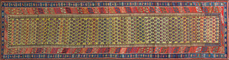 A Shirvan Runner