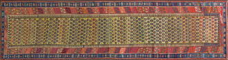 A Shirvan Runner